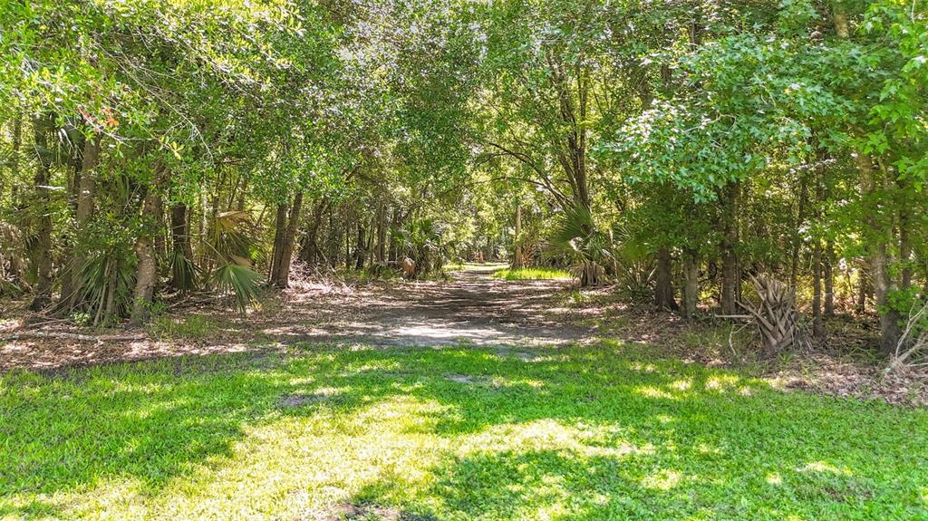 273 Griffin Road Wauchula, FL 33873 - Photo 40 of 48