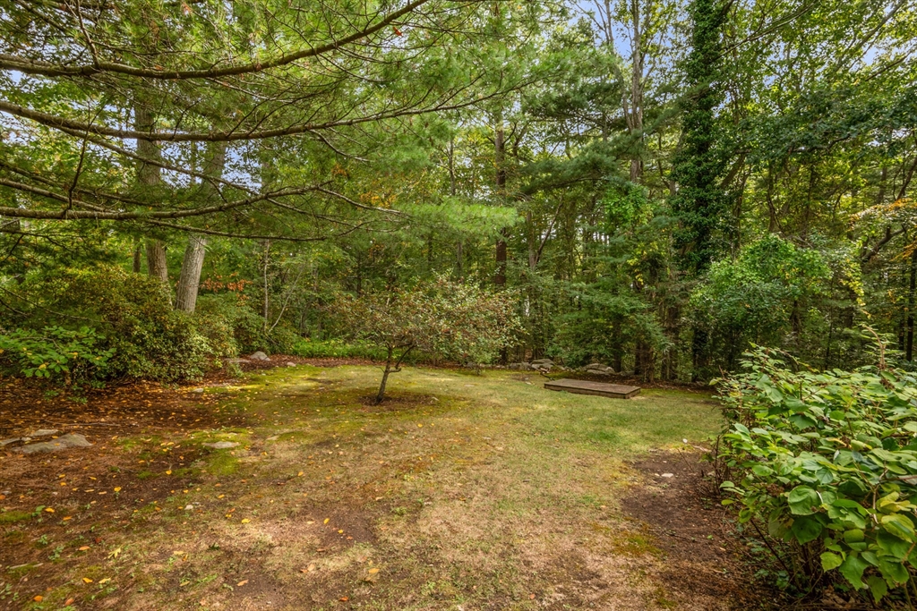 4 Plum Hill Manchester, MA 01944 - Photo 29 of 39 a view of a yard with wooden fence