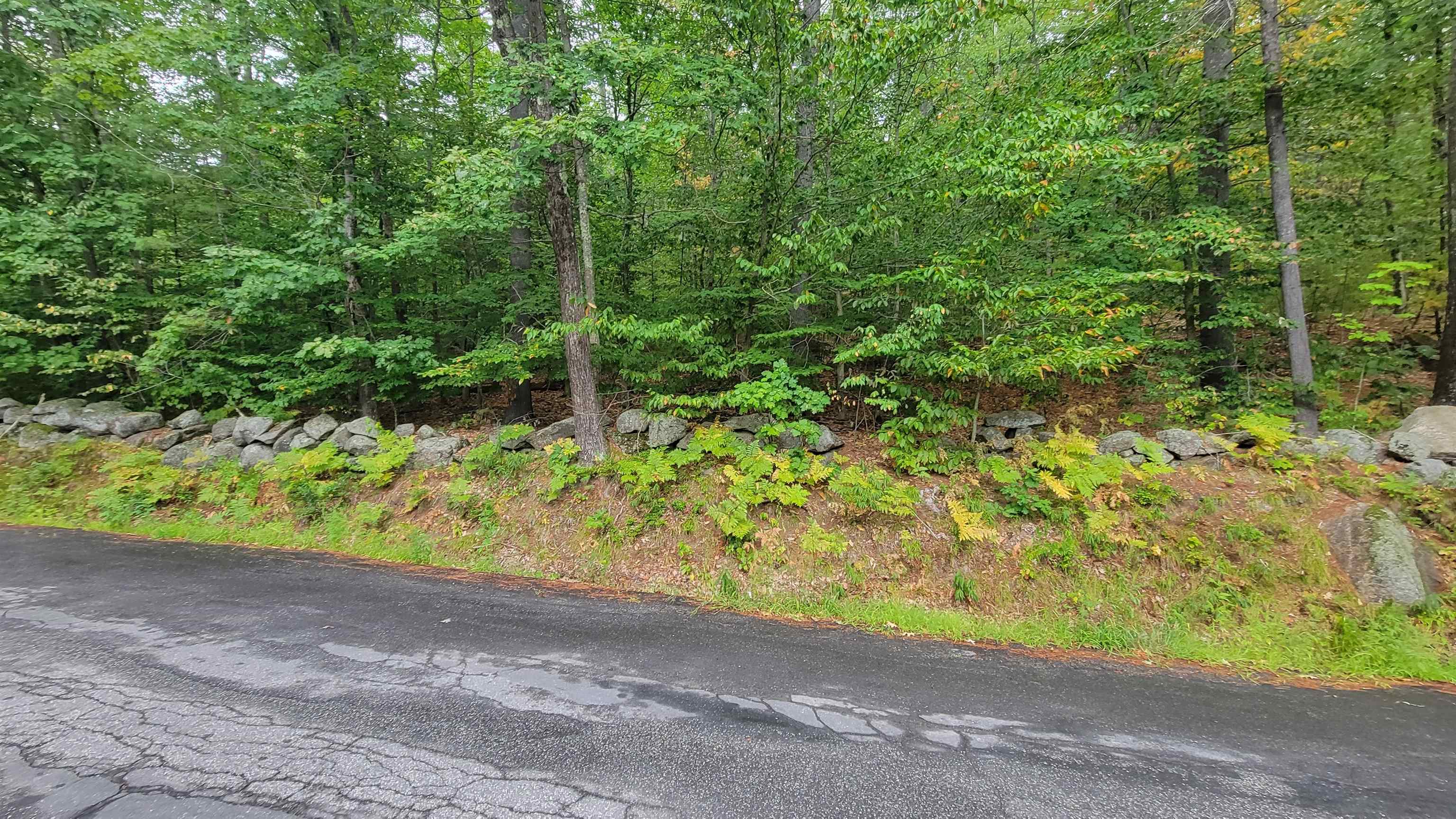 183 Breezy Hill Road Bradford, NH 03221 - Photo 4 of 60