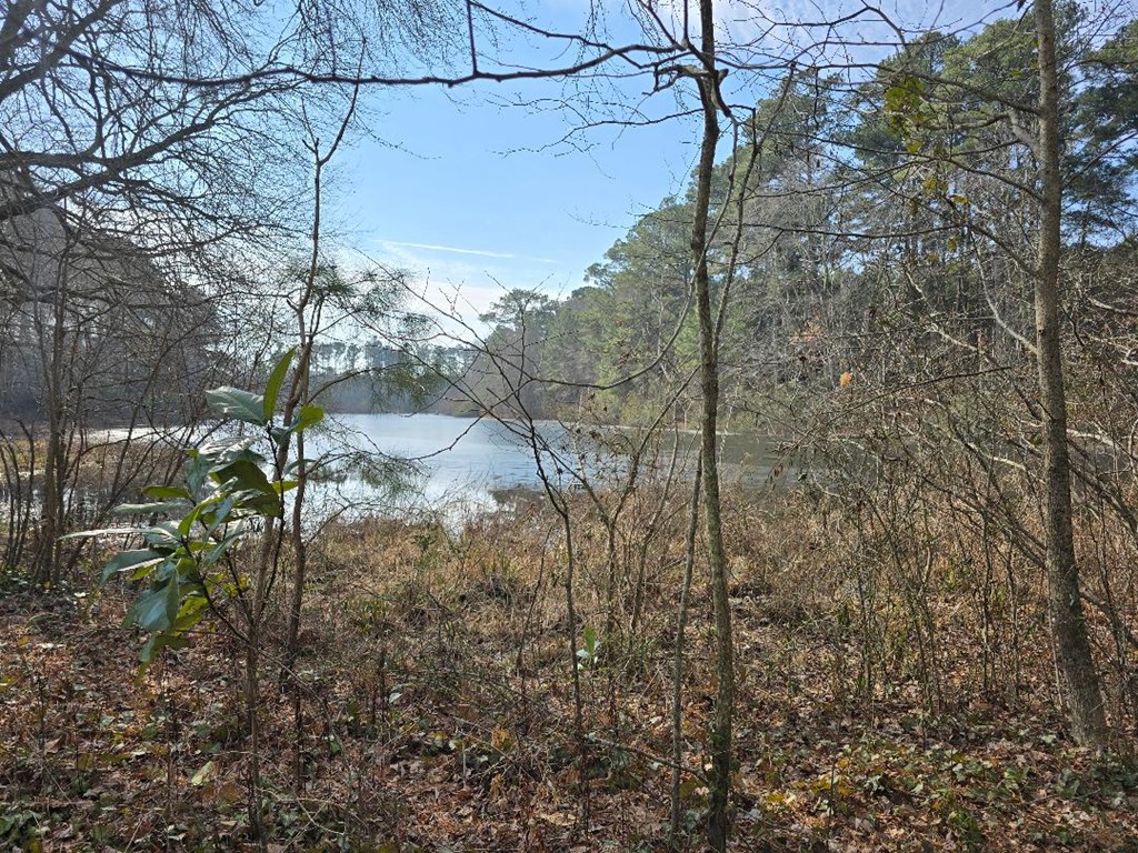 0 Bayside Road, Unit 1 Greenbush, VA 23357 - Photo 5 of 5