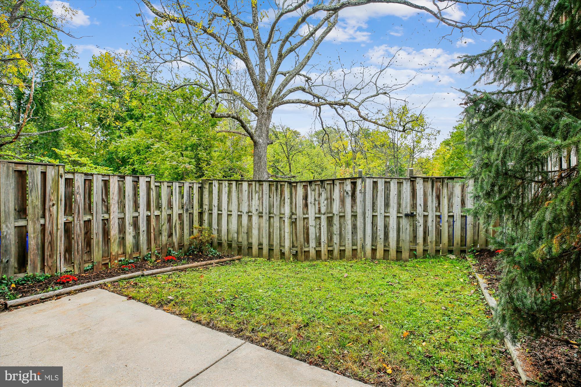 2702 Atlanta Drive, Unit 72702 Silver Spring, MD 20906 - Photo 50 of 55 a view of a backyard with a large tree