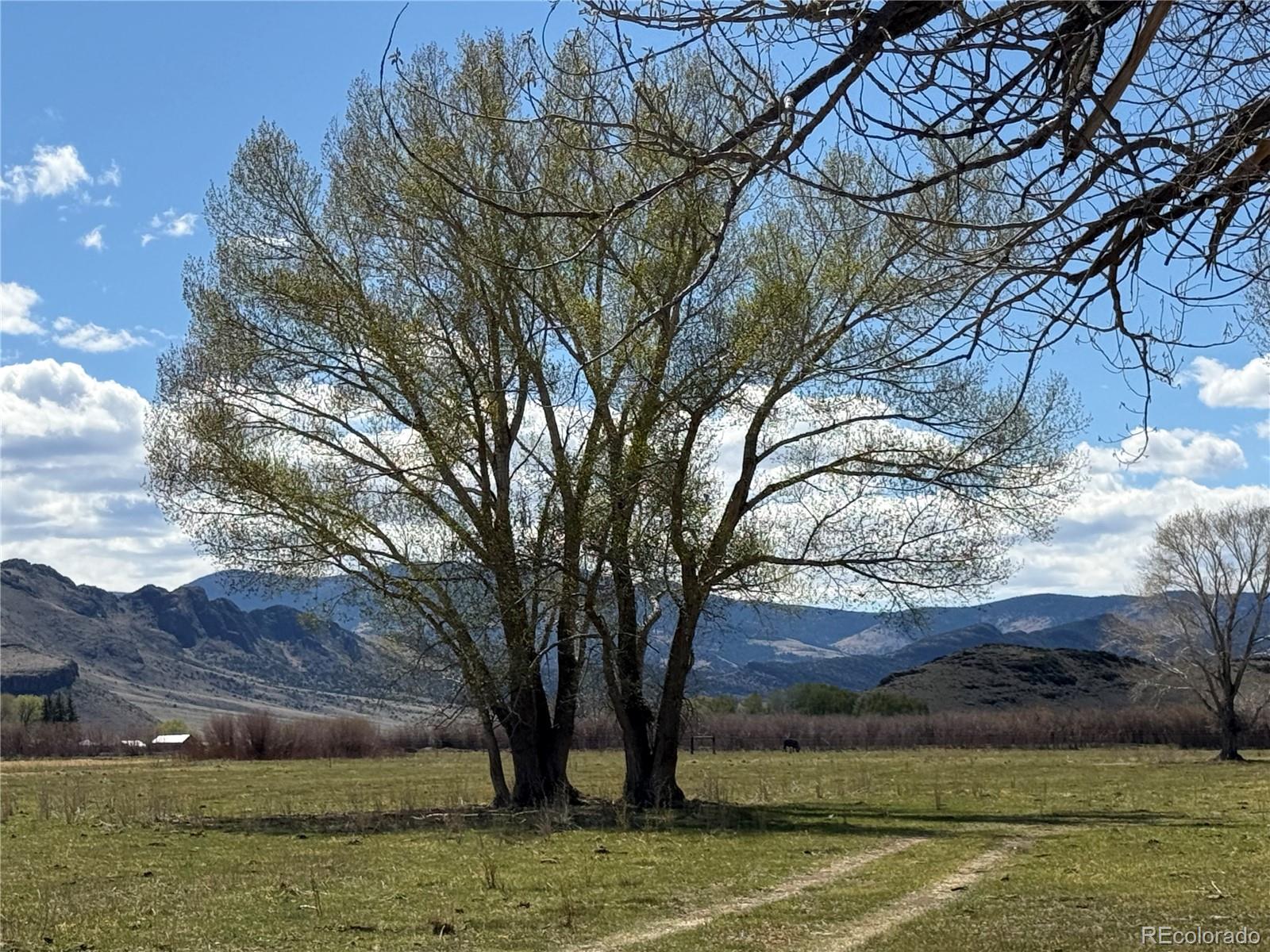 Hazard Ranch Saguache, CO 81149 - Photo 15 of 16 a view of a yard with an outdoor space