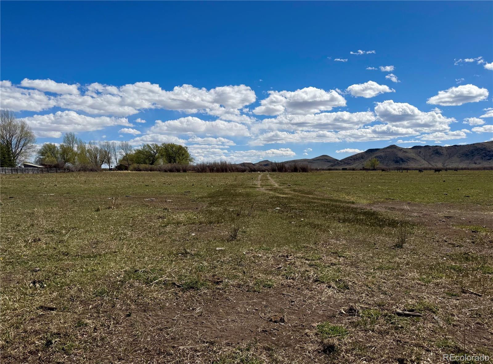 Hazard Ranch Saguache, CO 81149 - Photo 7 of 16 a view of a yard with an ocean