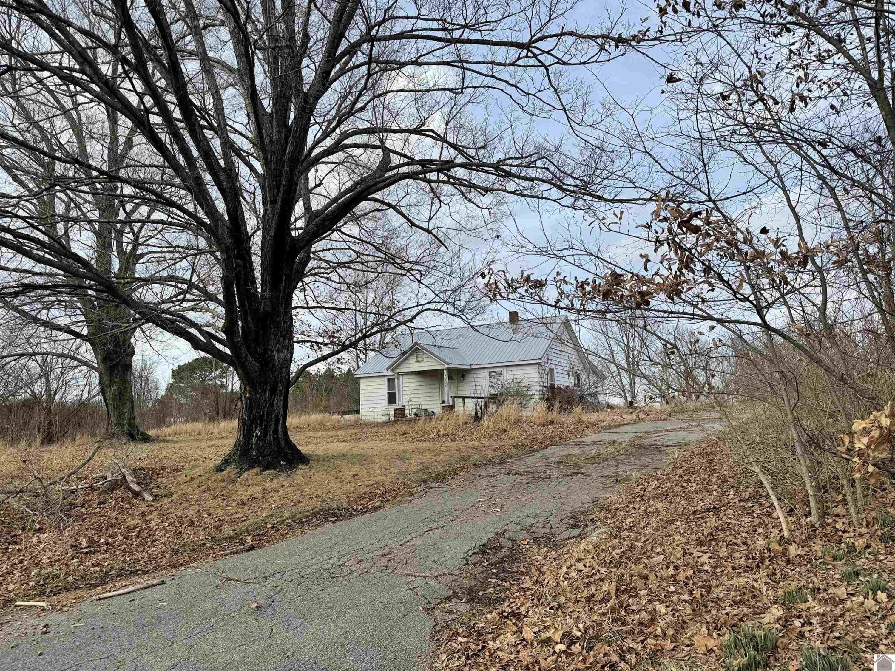 368 Gilbert Road Mayfield, KY 42066 - Photo 37 of 39 Photo 37