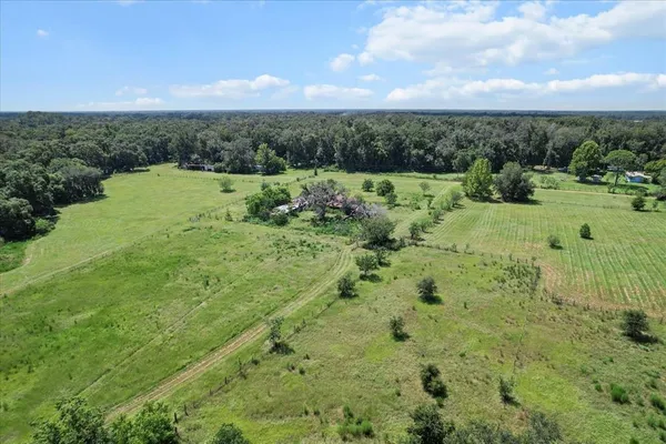 a view of a green field with trees