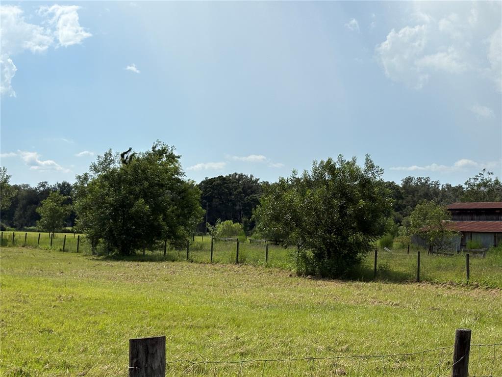 6177 County Road 625 Bushnell, FL 33513 - Photo 48 of 93