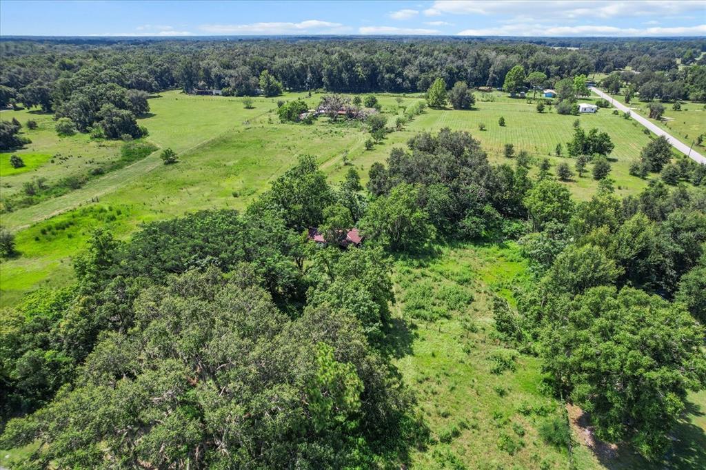 6177 County Road 625 Bushnell, FL 33513 - Photo 73 of 93 a view of a lush green space with lots of trees