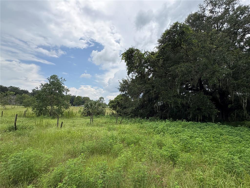 6177 County Road 625 Bushnell, FL 33513 - Photo 76 of 93 a view of grassy field with trees