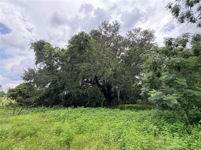 $1,520,000 | 6177 County Road 625, Bushnell, FL 33513
