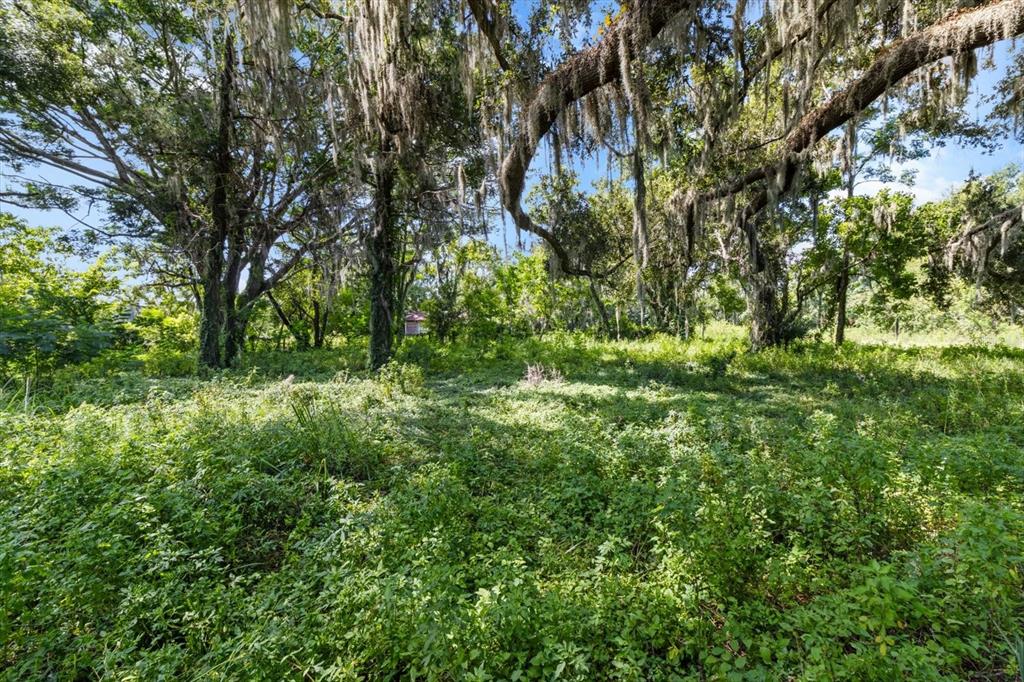 6177 County Road 625 Bushnell, FL 33513 - Photo 79 of 93