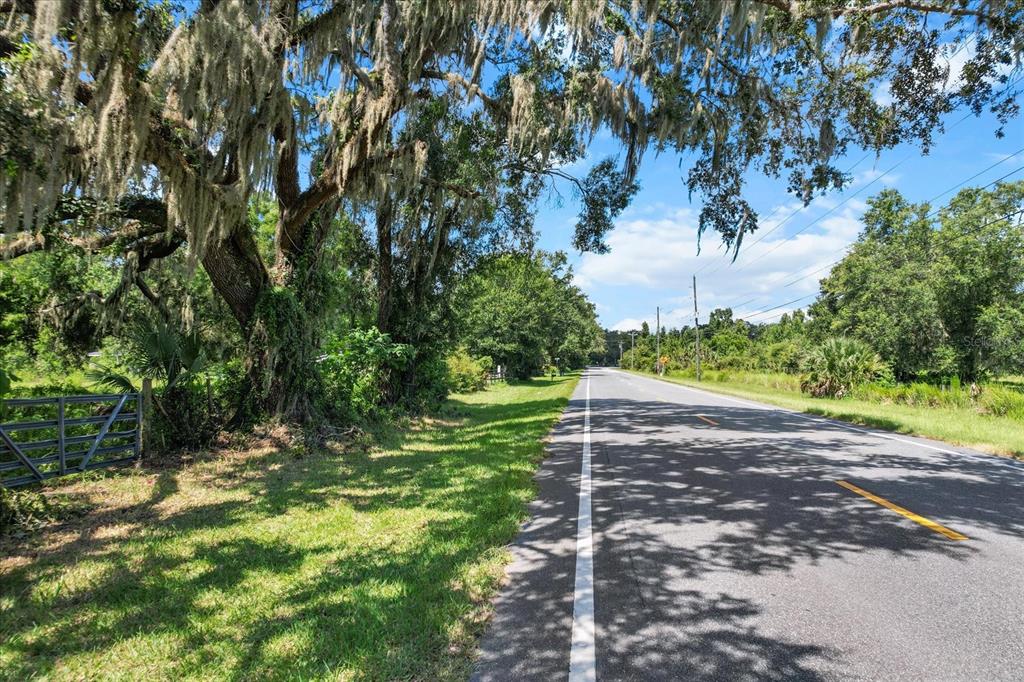 6177 County Road 625 Bushnell, FL 33513 - Photo 80 of 93 a view of a yard with plants and trees