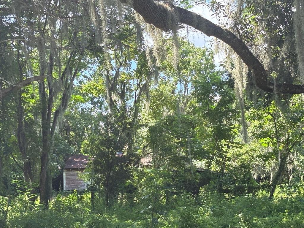 6177 County Road 625 Bushnell, FL 33513 - Photo 84 of 93