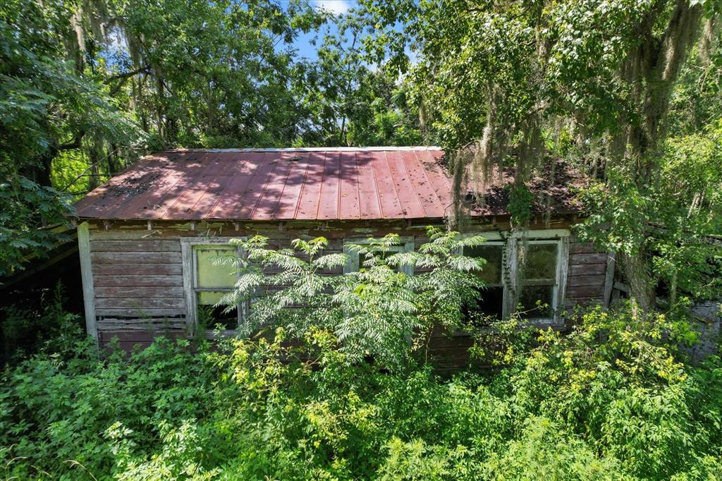 6177 County Road 625 Bushnell, FL 33513 - Photo 85 of 93 a view of a backyard with plants