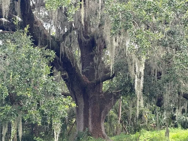 $1,520,000 | 6177 County Road 625, Bushnell, FL 33513