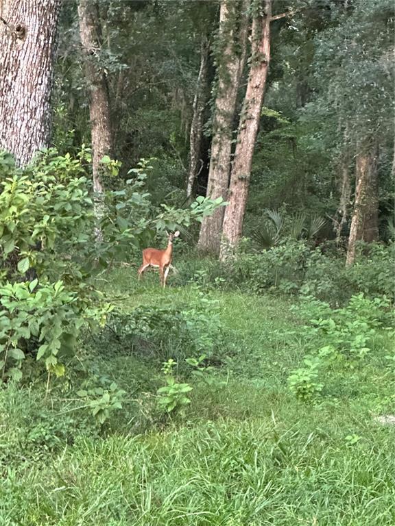 6177 County Road 625 Bushnell, FL 33513 - Photo 92 of 93