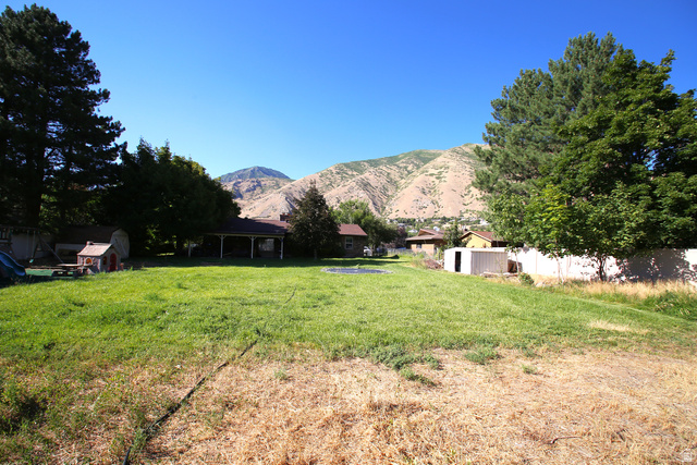 1612 East 450 South Springville, UT 84663 - Photo 7 of 48 Expansive grassy yard with mature trees and a mountain backdrop