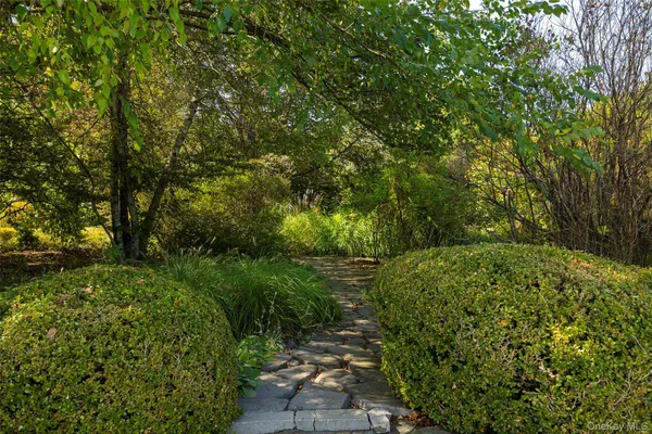a view of a garden