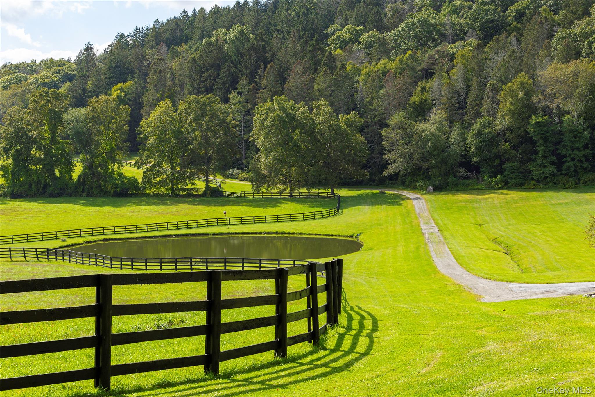 121-125 Butts Hollow Road Dover Plains, NY 12545 - Photo 28 of 30 a view of a swimming pool with a table and chairs