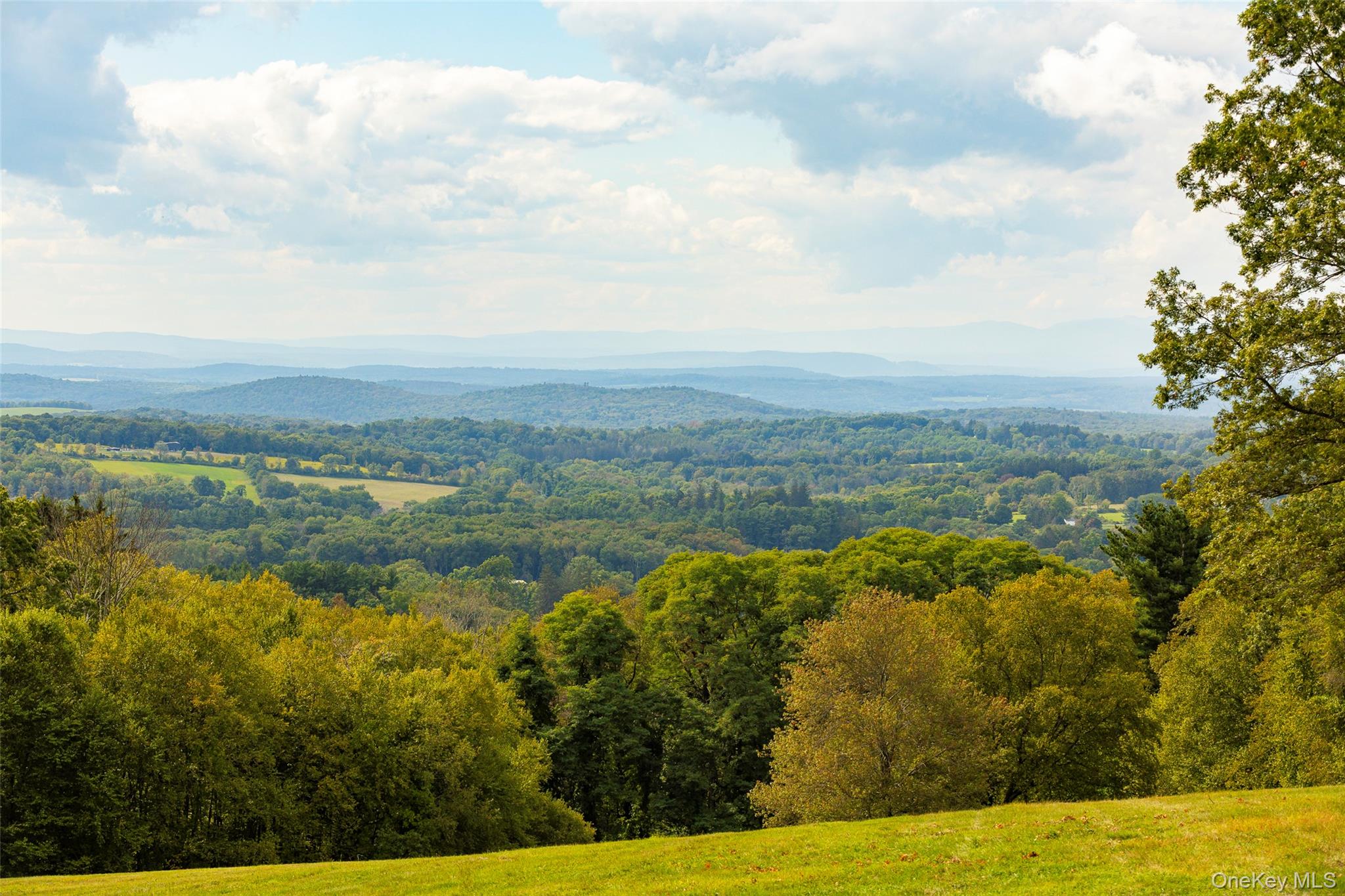 121-125 Butts Hollow Road Dover Plains, NY 12545 - Photo 30 of 30 a view of lake with mountain