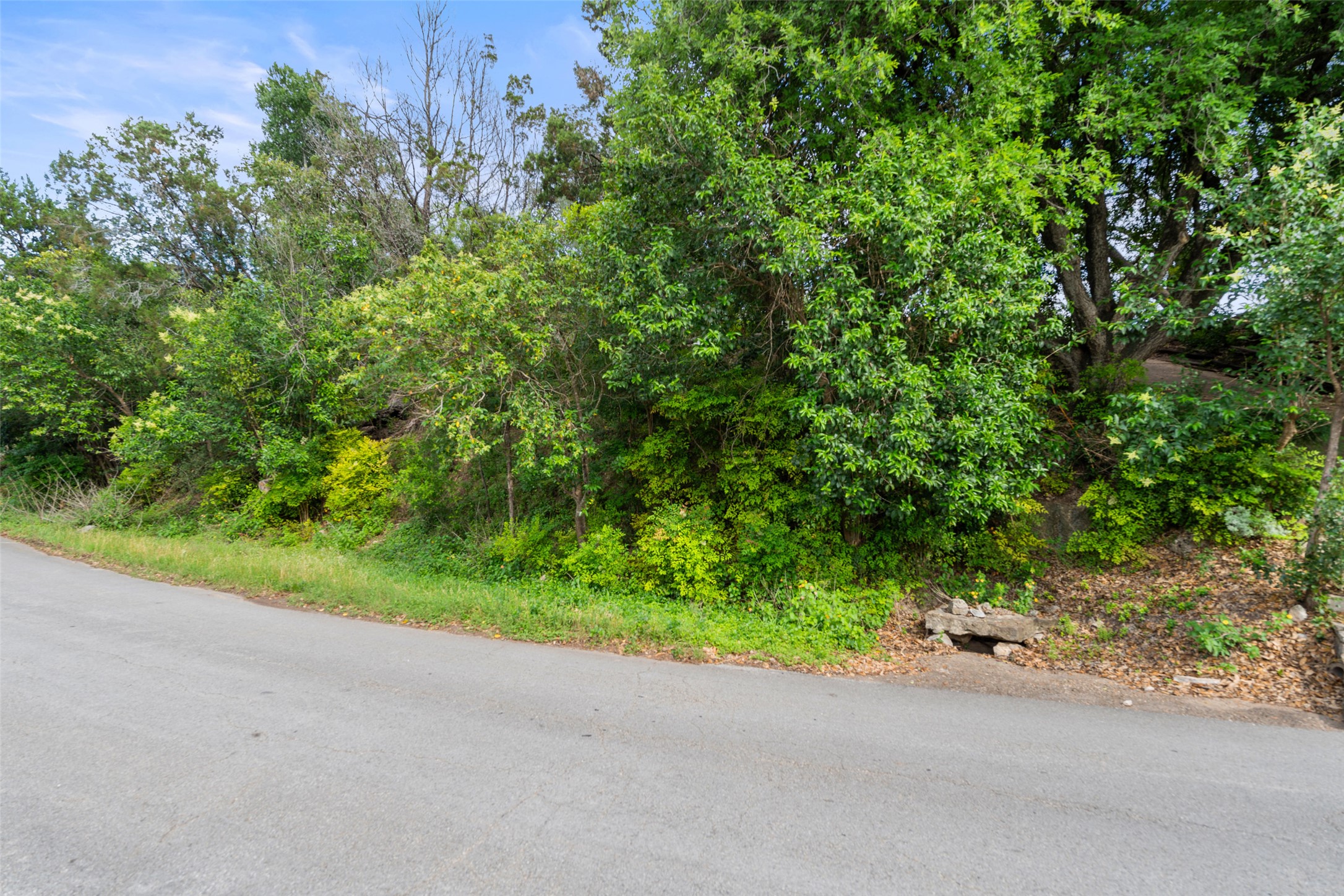 711 Sunfish Street Lakeway, TX 78734 - Photo 14 of 23 View of asphalt road