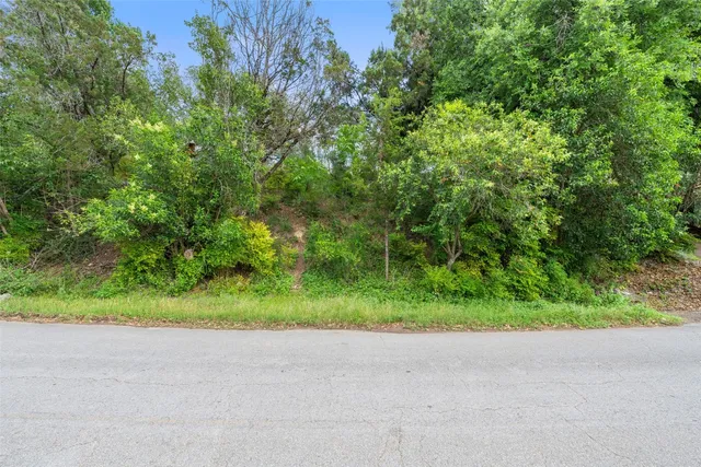 a backyard of a house with a yard and plant