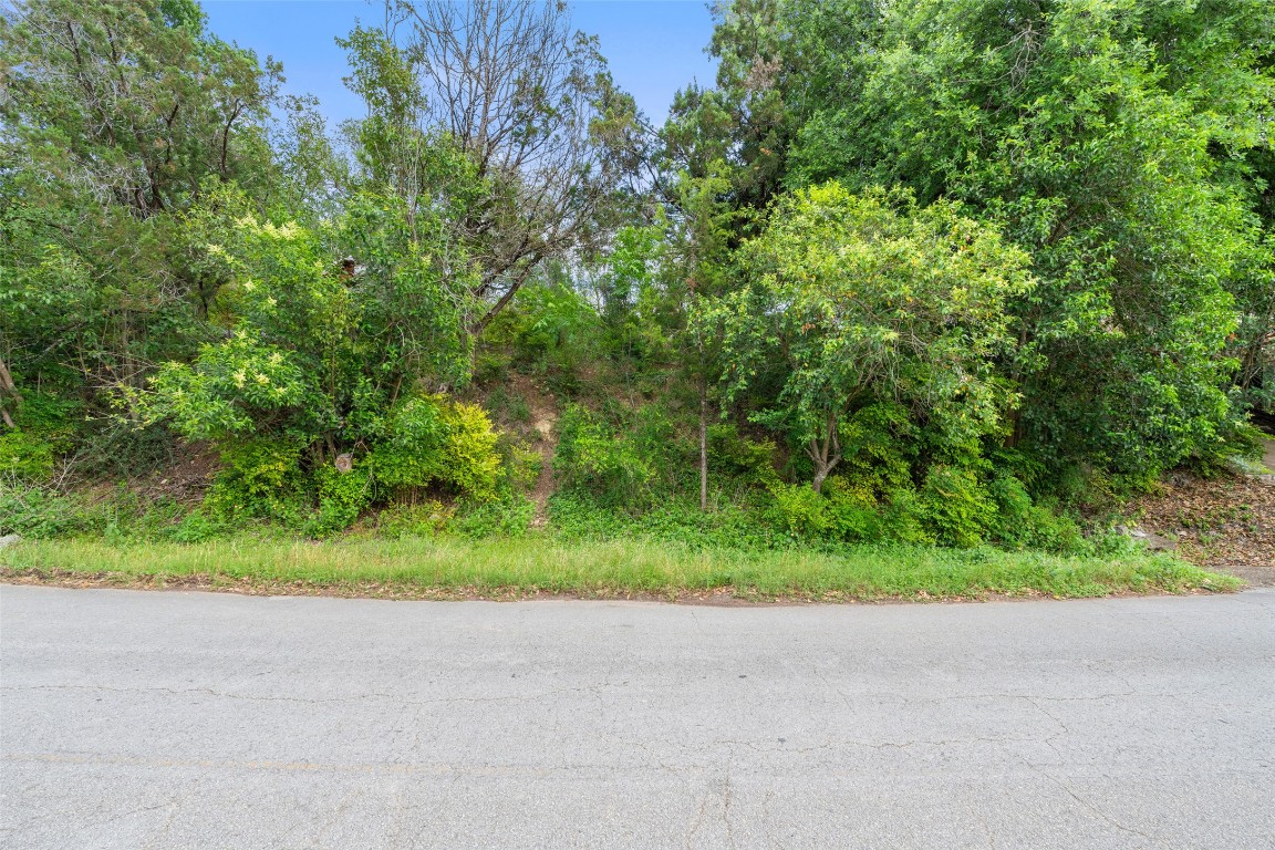 711 Sunfish Street Lakeway, TX 78734 - Photo 15 of 23 a backyard of a house with a yard and plant