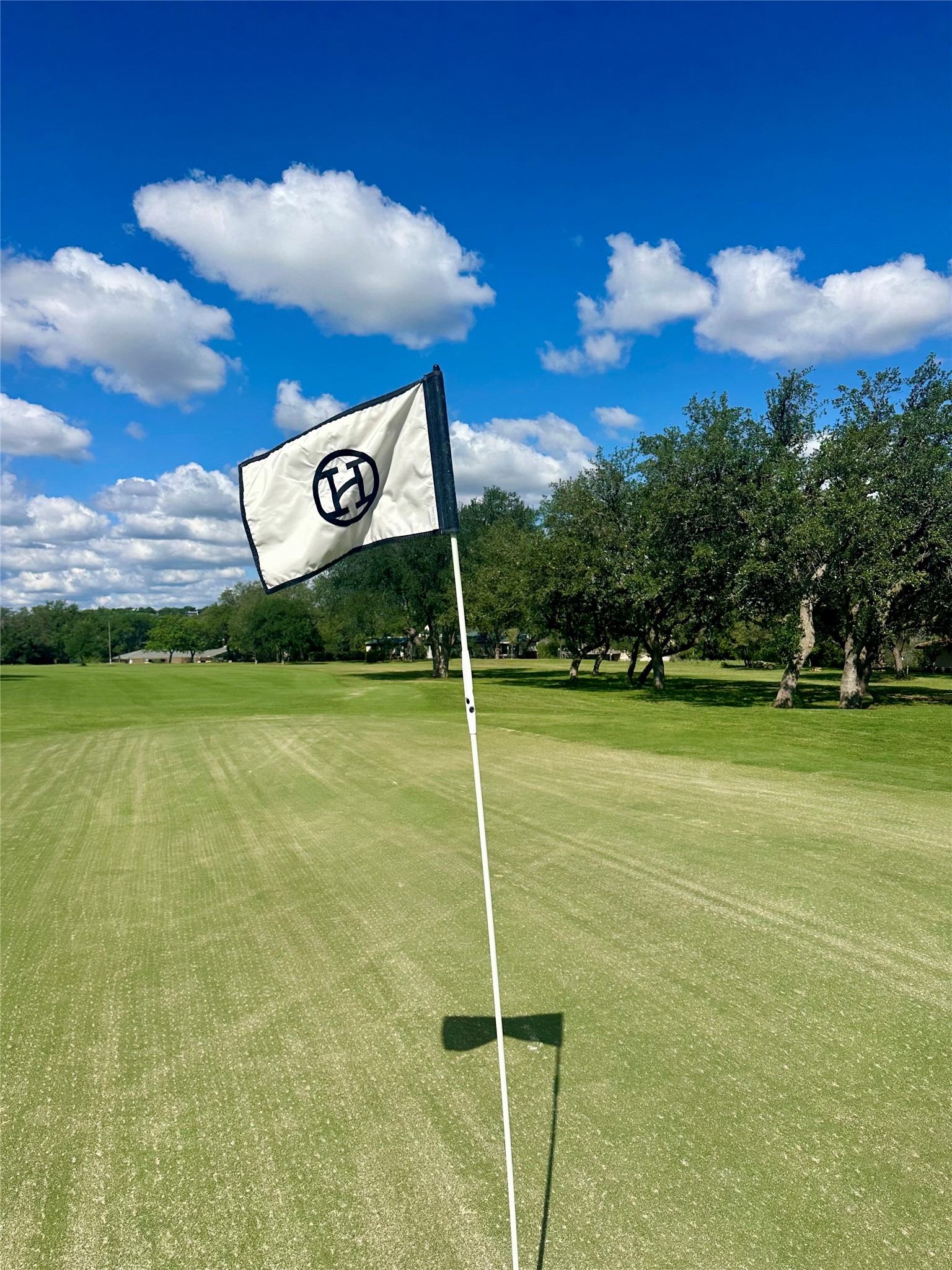 711 Sunfish Street Lakeway, TX 78734 - Photo 22 of 23 View of community with a yard