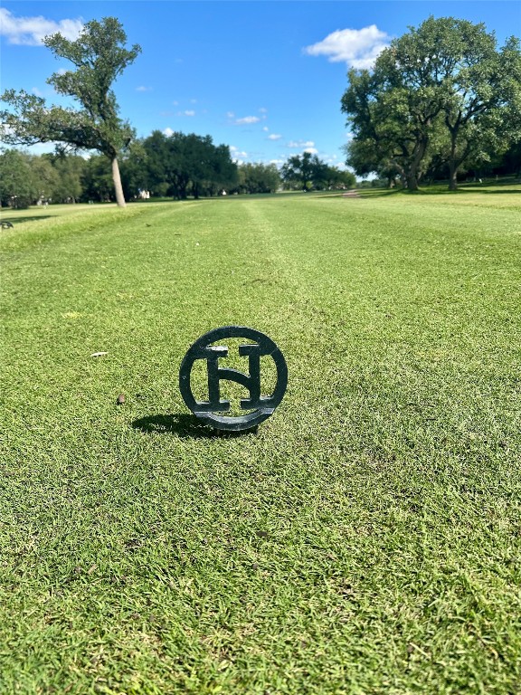 711 Sunfish Street Lakeway, TX 78734 - Photo 23 of 23 a view of a garden with a swimming pool