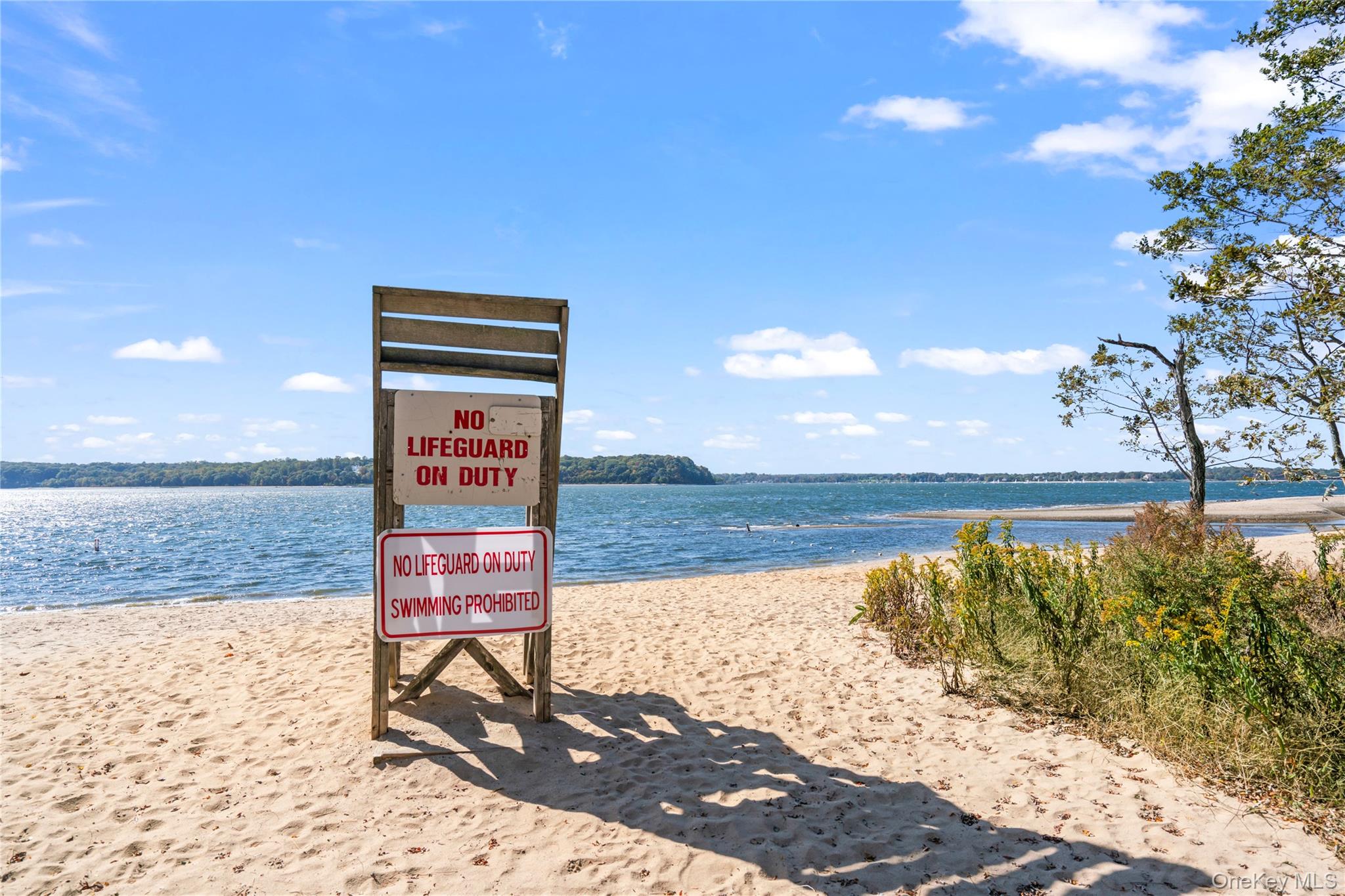 54 Snake Hill Road Cold Spring Harbor, NY 11724 - Photo 35 of 39 Lloyd Harbor Beach