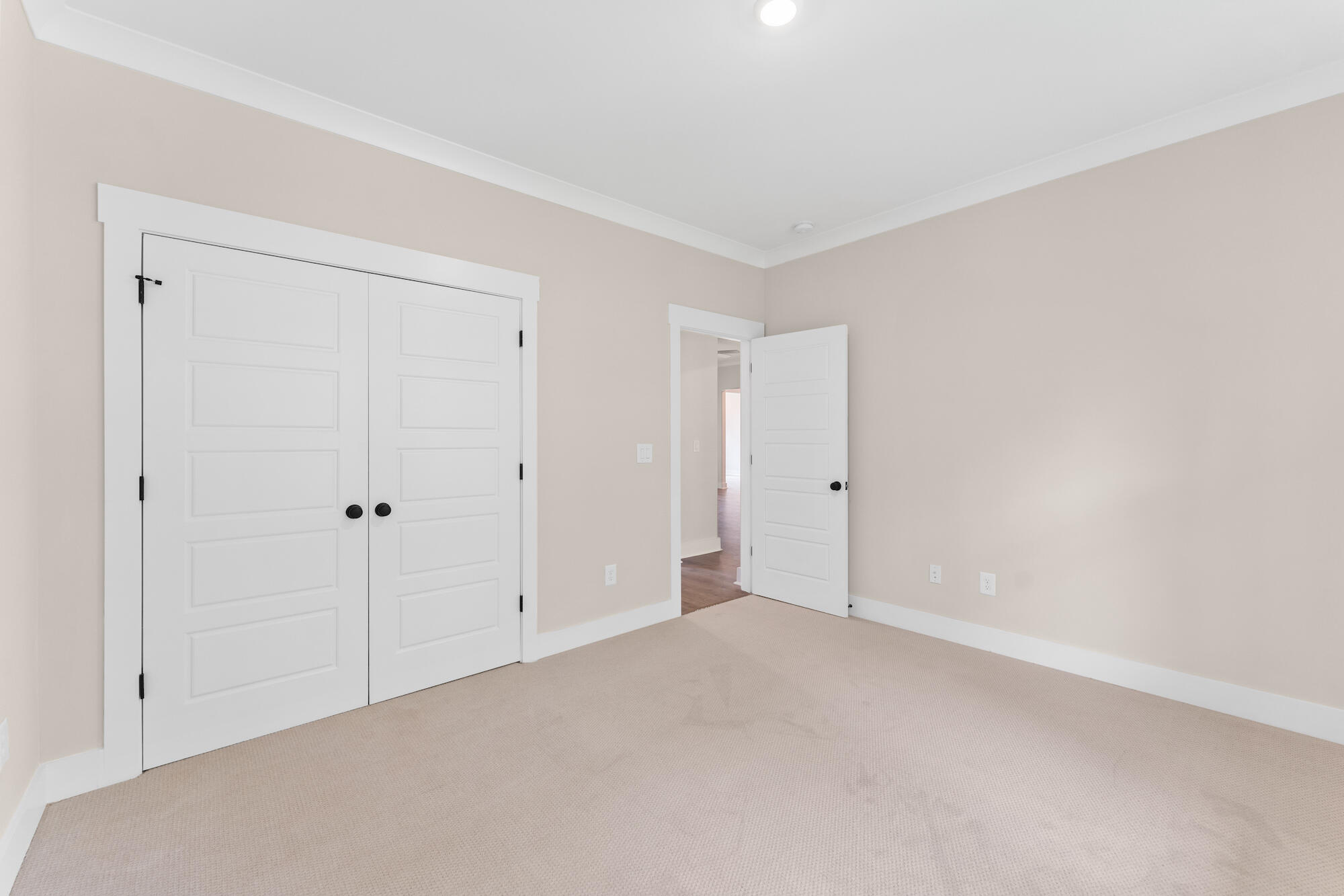 7817 Little Britton Road, Unit LOT A1 Meggett, SC 29449 - Photo 12 of 21 CDWK_3311_BR_02
