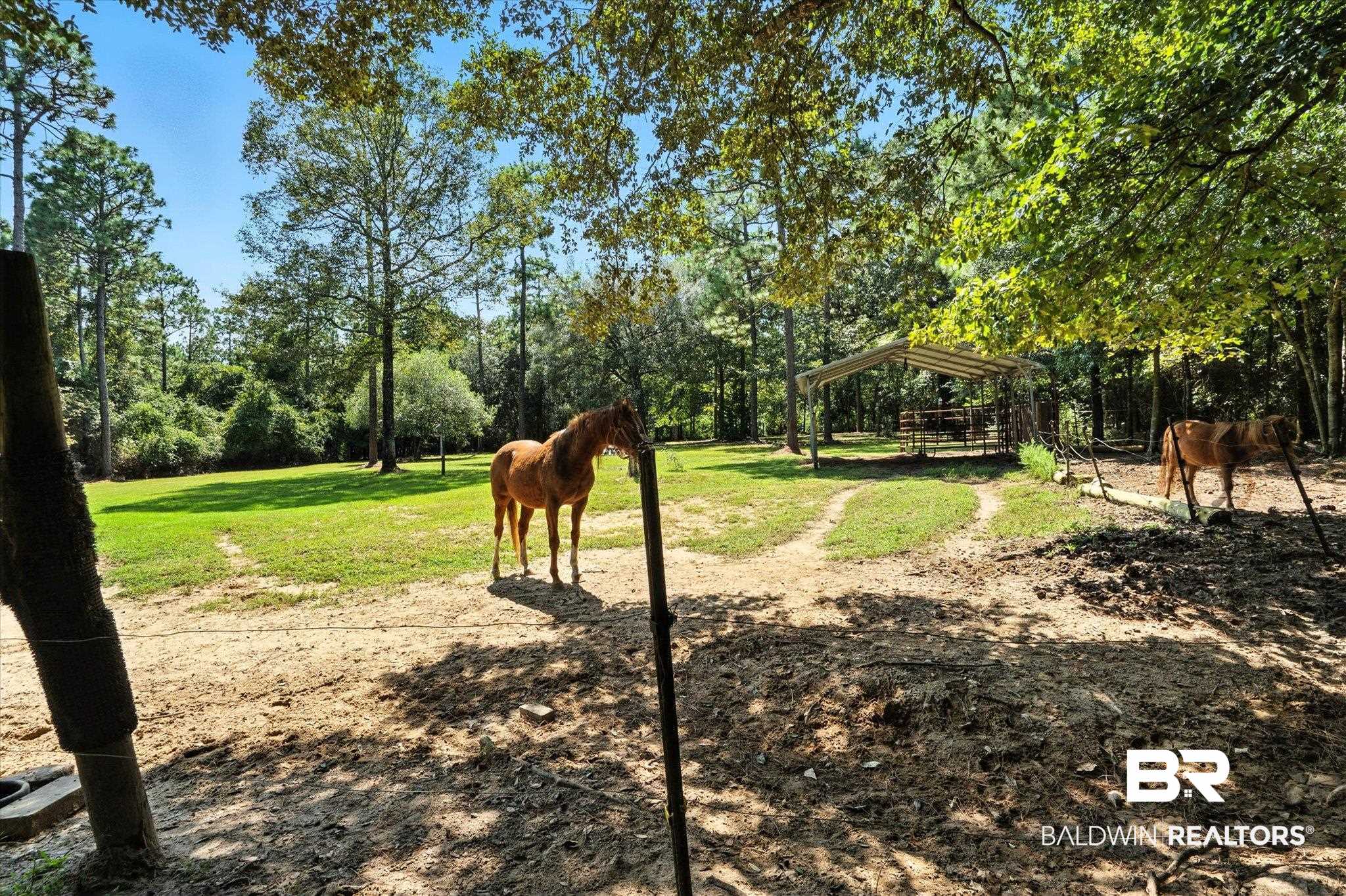 36001 Sibley Road Stapleton, AL 36578 - Photo 55 of 64