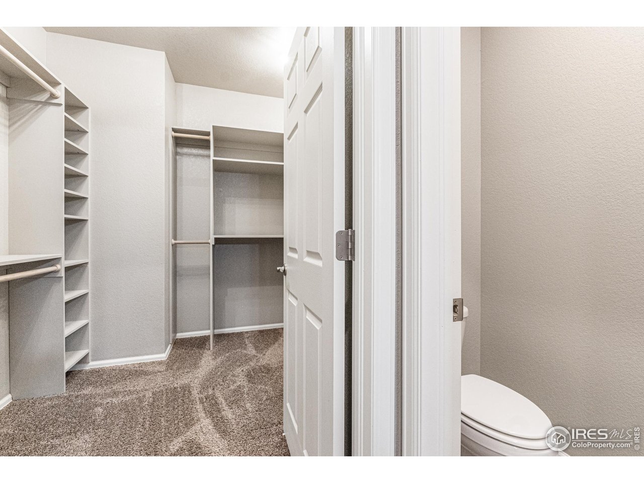 1780 Floret Drive Windsor, CO 80550 - Photo 18 of 36 a bathroom with a toilet