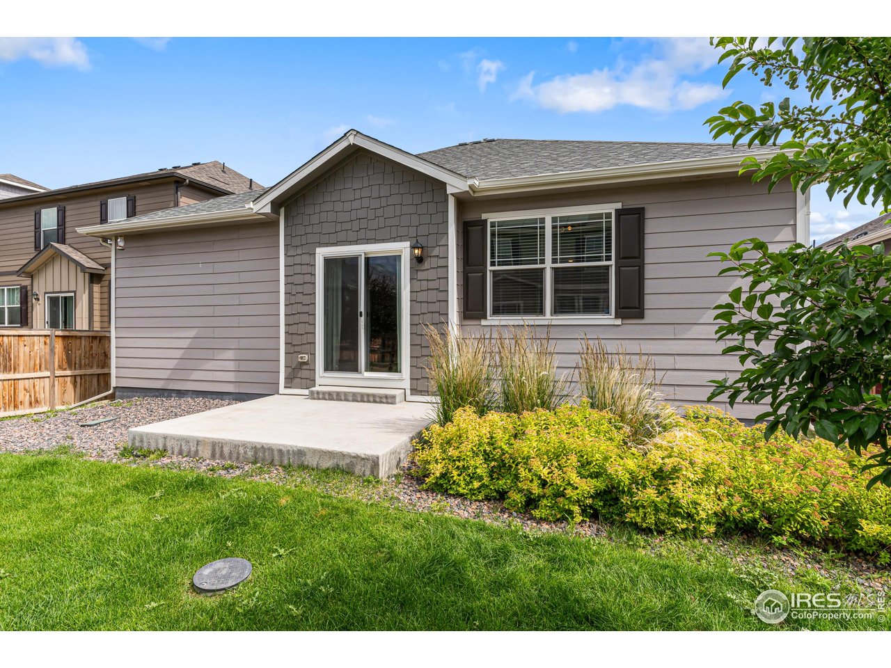 1780 Floret Drive Windsor, CO 80550 - Photo 29 of 36 a front view of a house with a yard