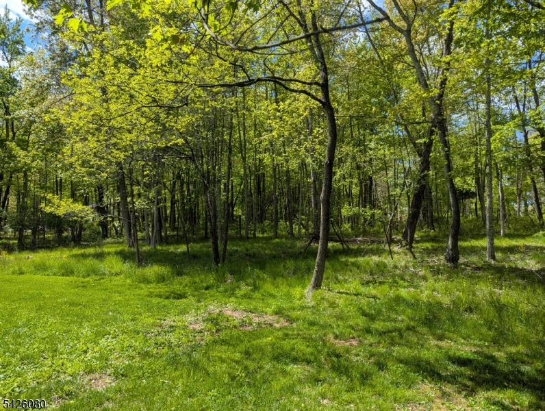 9 Hewitt Road West Amwell, NJ 08530 - Photo 16 of 18