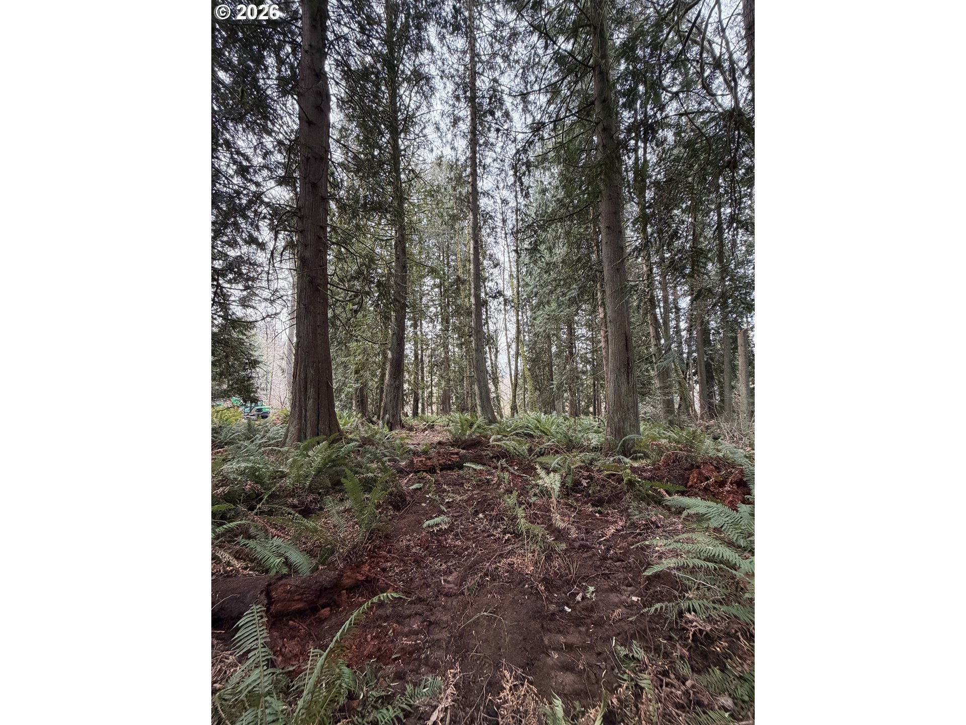 Meserve Road Rainier, OR 97048 - Photo 10 of 16