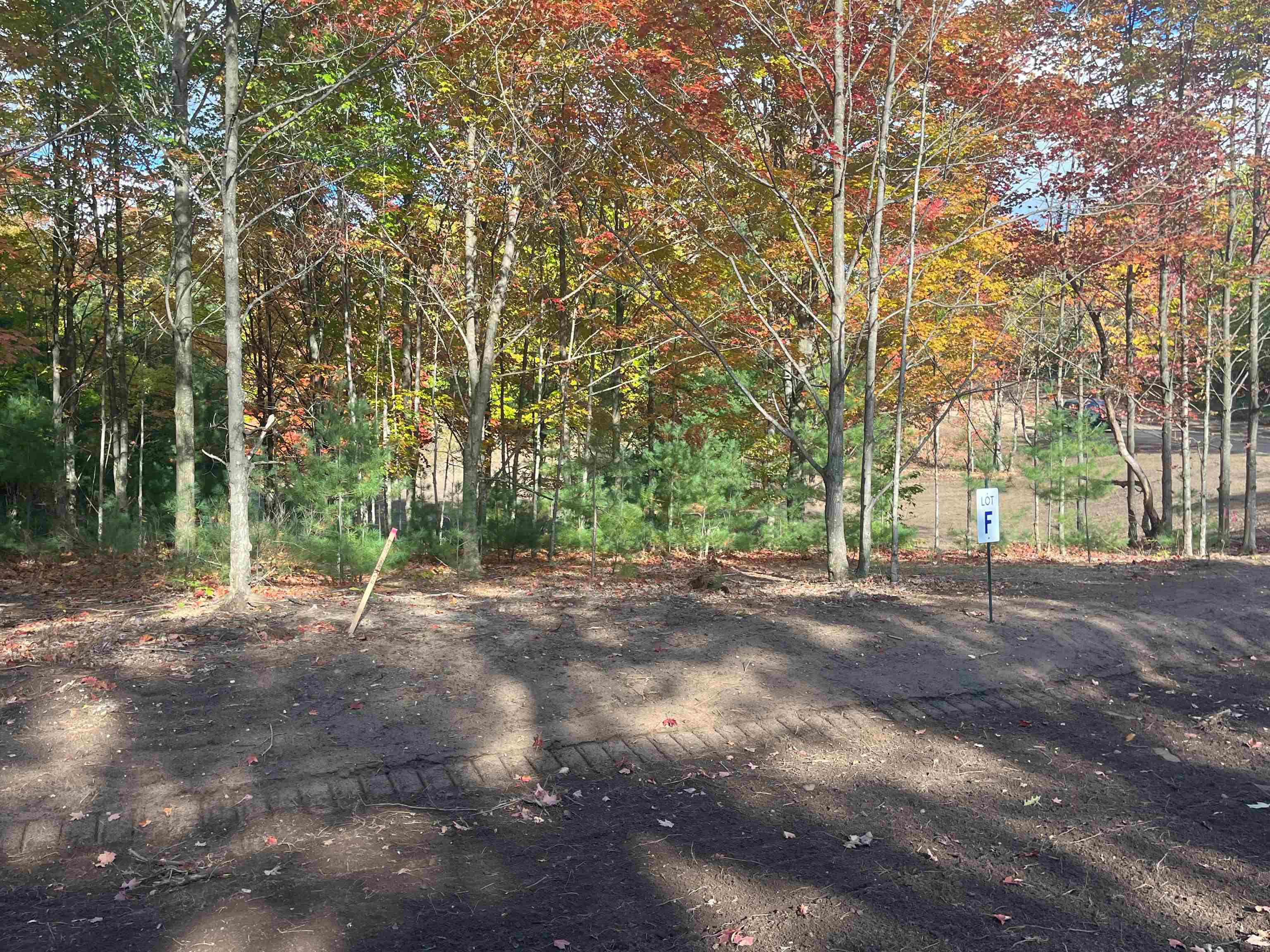 Parcel F West Trumbull Road Maple City, MI 49664 - Photo 10 of 10