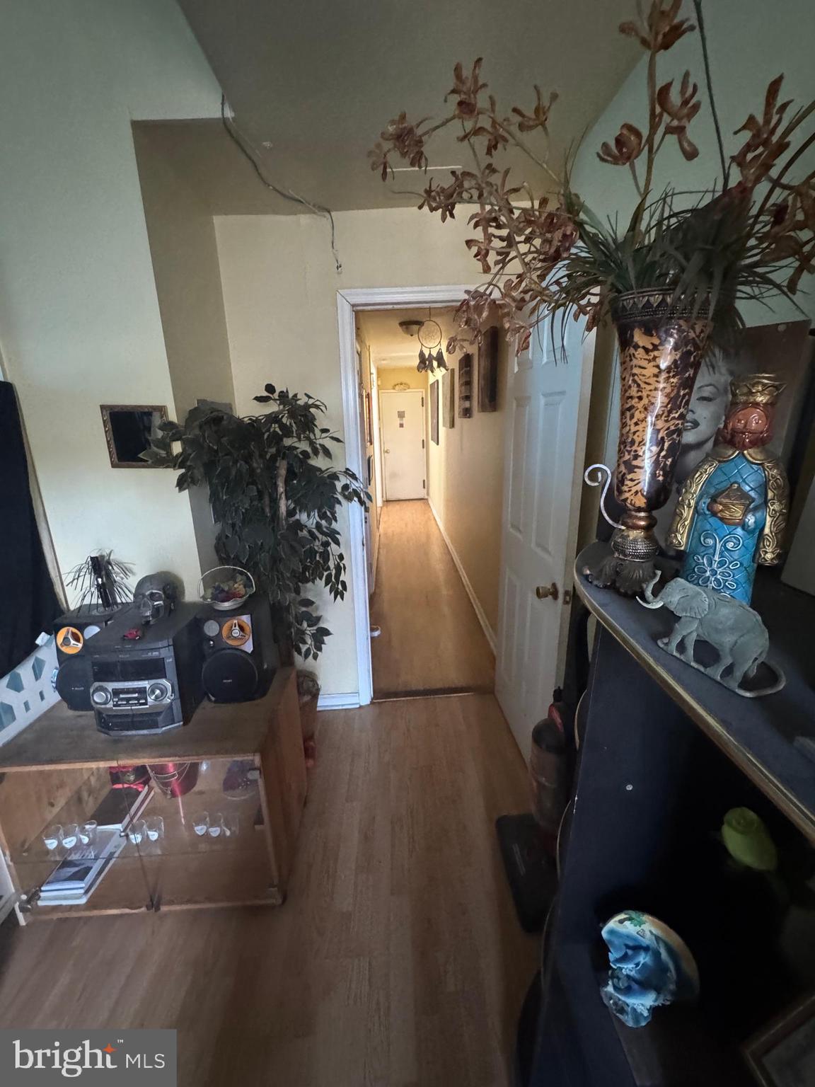 1736 McCulloh Street Baltimore, MD 21217 - Photo 5 of 14 a vase of flowers sitting on a table