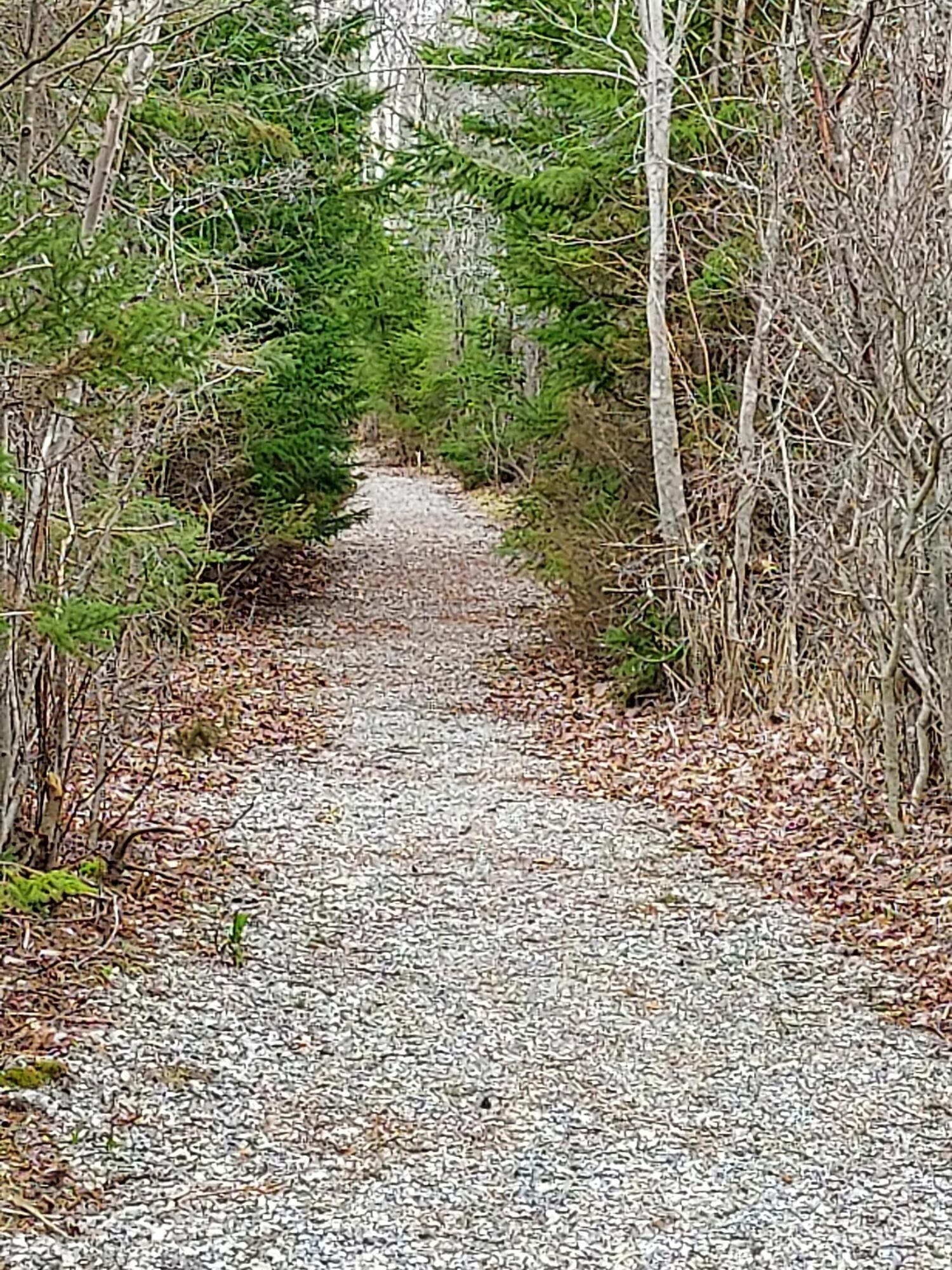 3 Pebble Beach Road St. George, ME 04860 - Photo 11 of 41 20220413_121855 - Copy