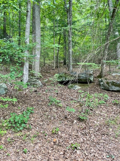 11 Lonesome Pine Road Murphy, NC 28906 - Photo 3 of 7