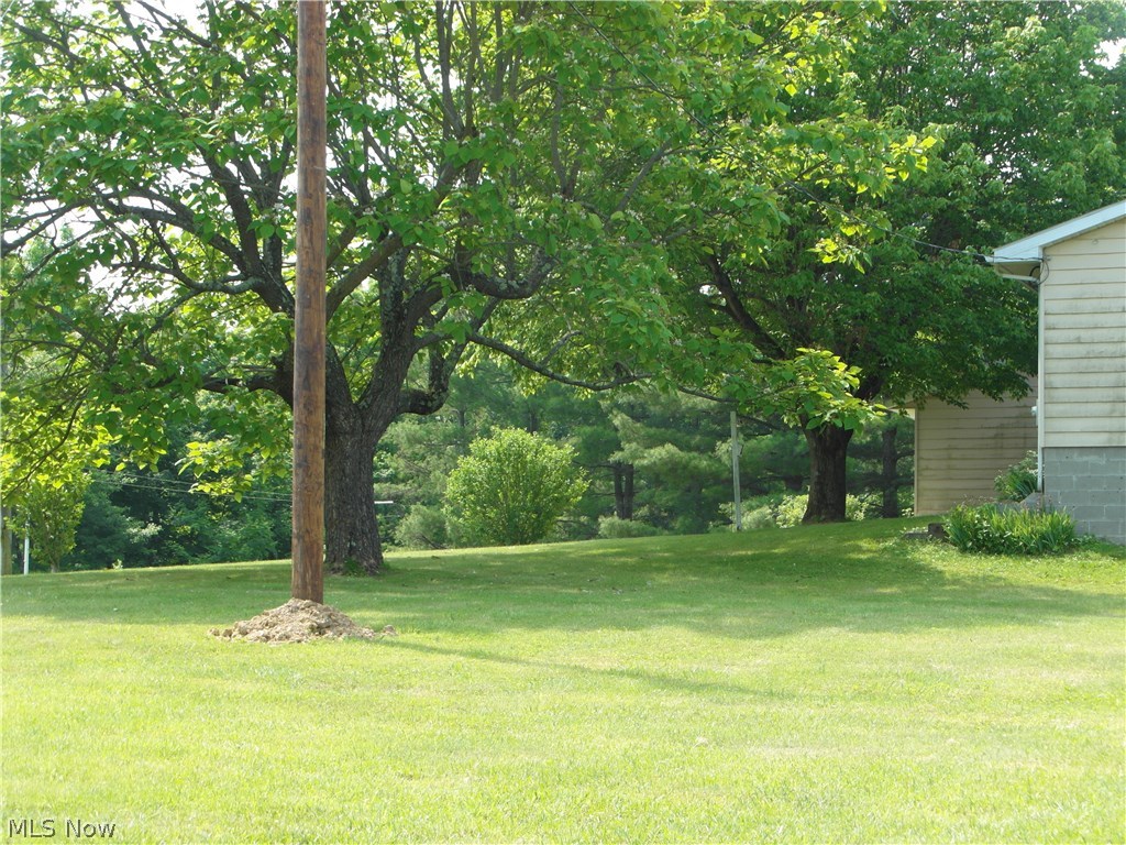 2715 Virginia Ridge Road Philo, OH 43771 - Photo 3 of 19