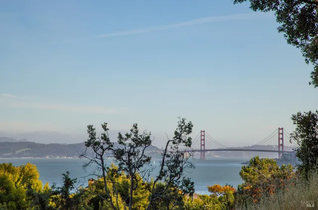 a view of a house with backyard and garden