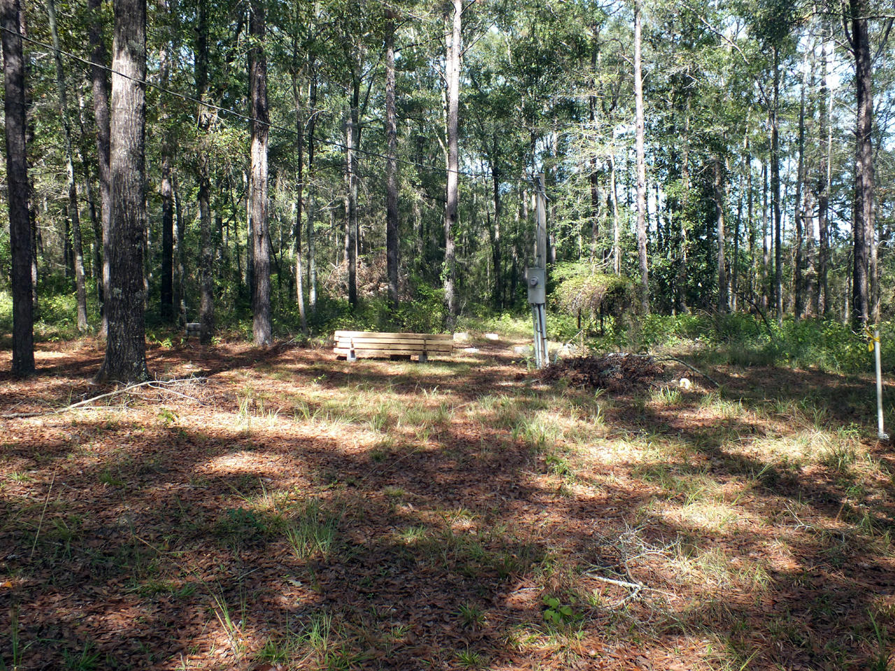 1650 Hudson Road Westville, FL 32464 - Photo 9 of 11 09 South Side of Property