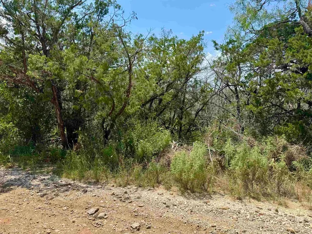 a view of a yard with a tree