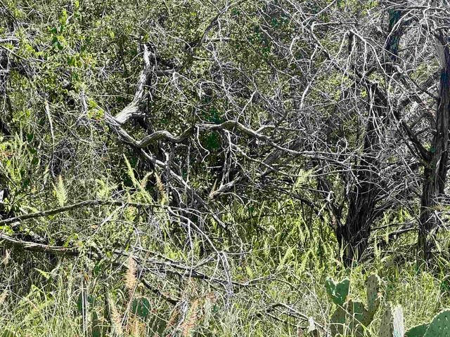 $24,900 | 0 Solar, Burnet, TX 78611