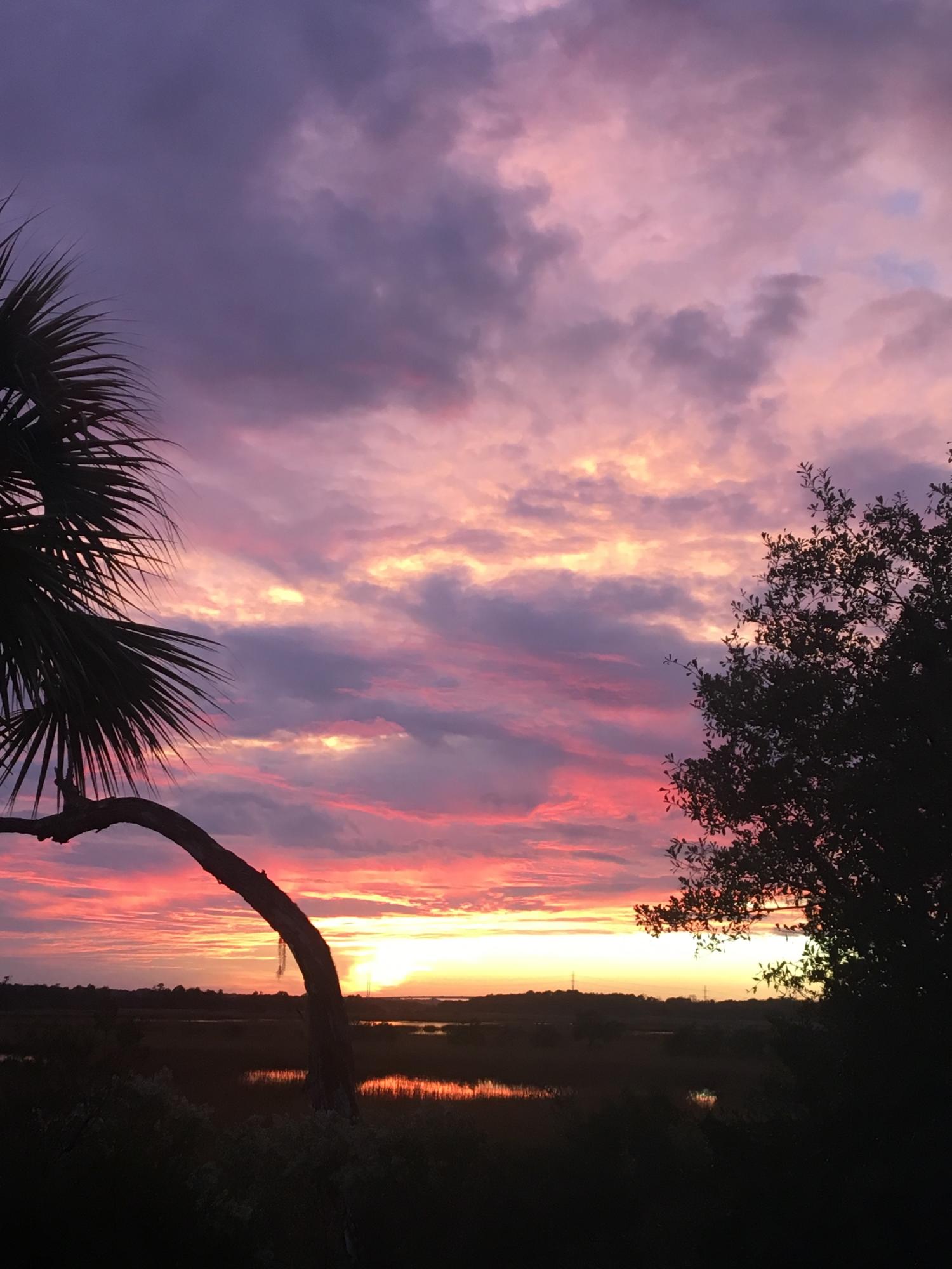 2133 Rookery Lane Charleston, SC 29414 - Photo 32 of 71 sunset2
