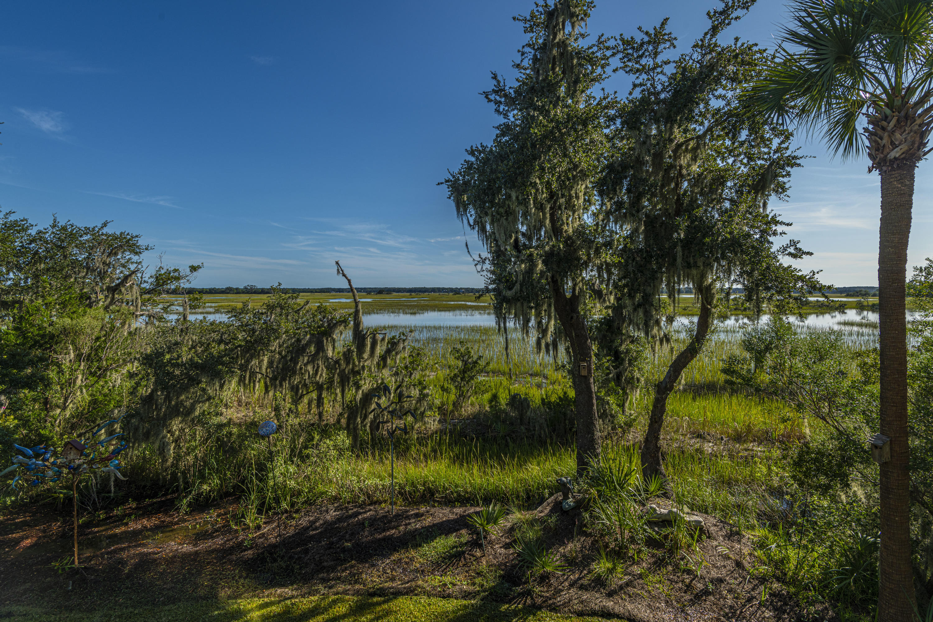 2133 Rookery Lane Charleston, SC 29414 - Photo 56 of 71 DSC_8962
