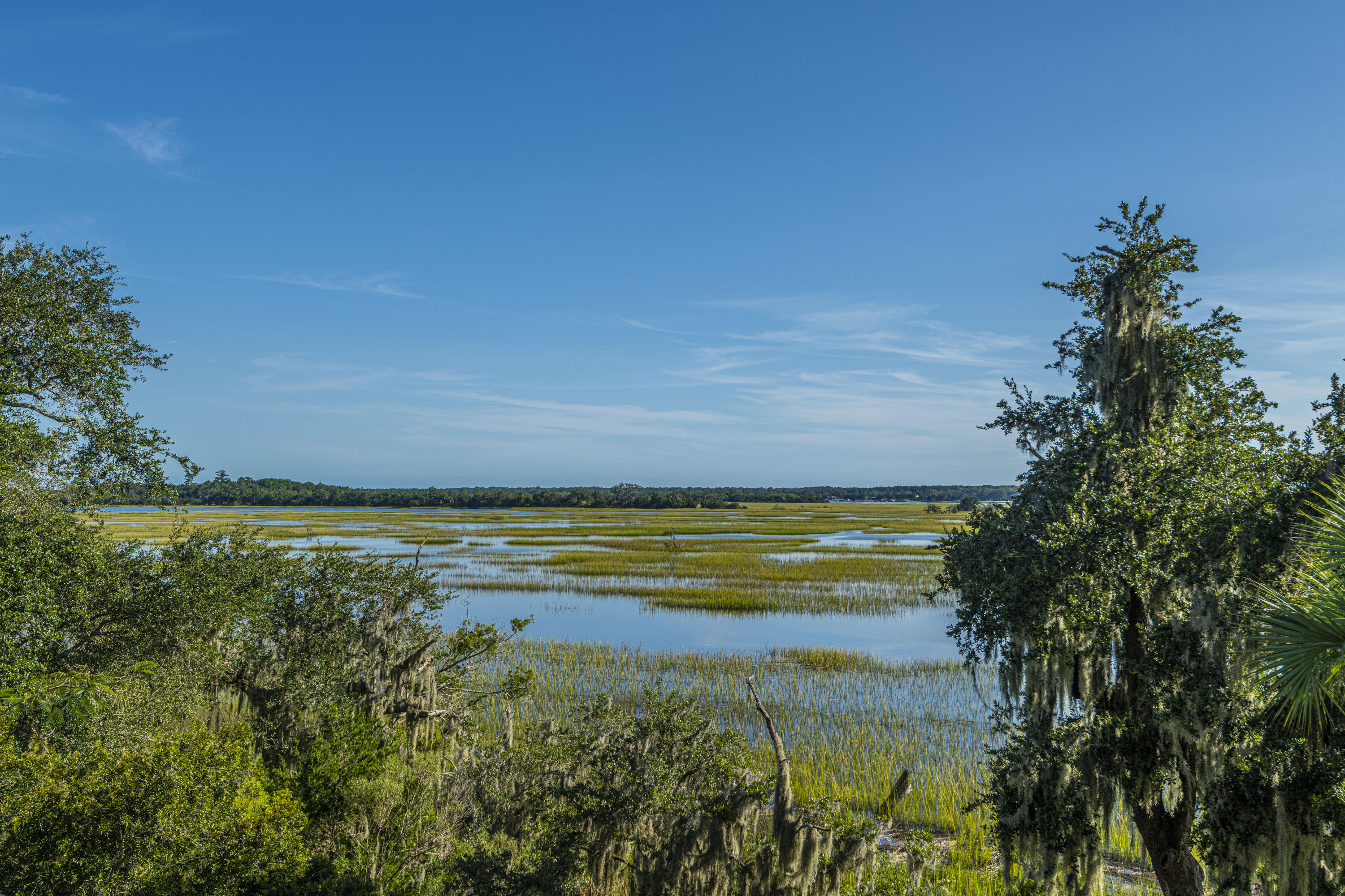 2133 Rookery Lane Charleston, SC 29414 - Photo 57 of 71 DSC_8965