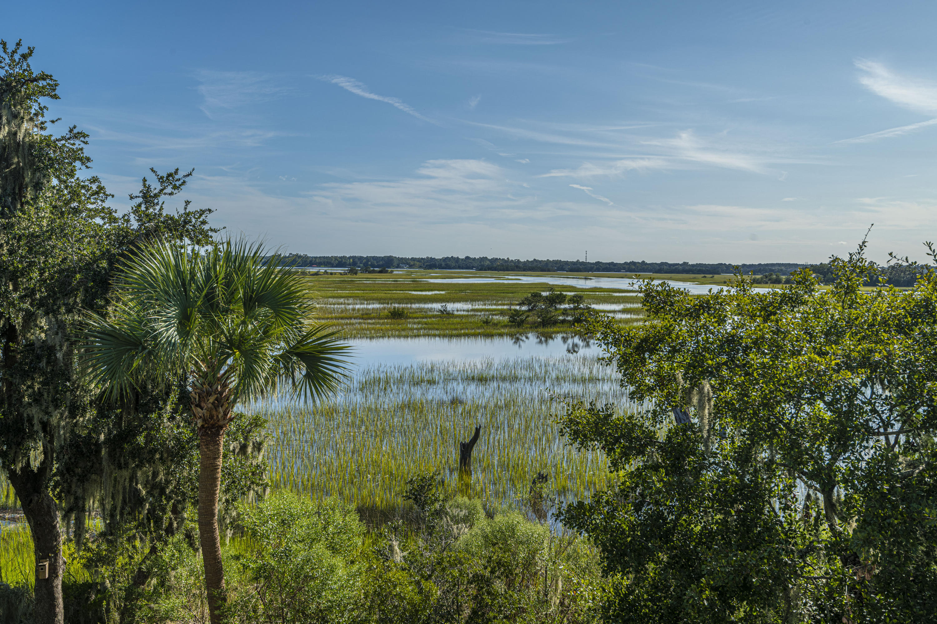 2133 Rookery Lane Charleston, SC 29414 - Photo 58 of 71 DSC_8970