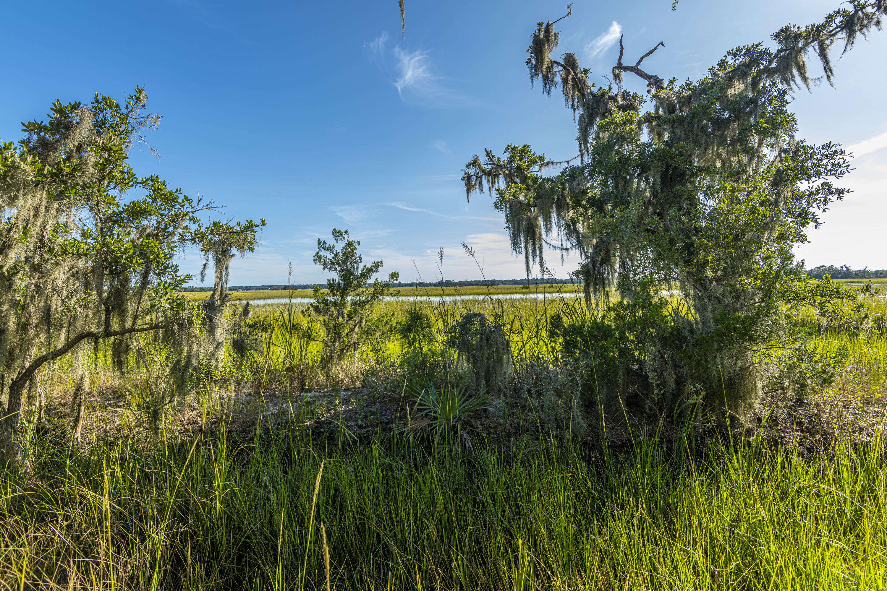 2133 Rookery Lane Charleston, SC 29414 - Photo 63 of 71 DSC_8981