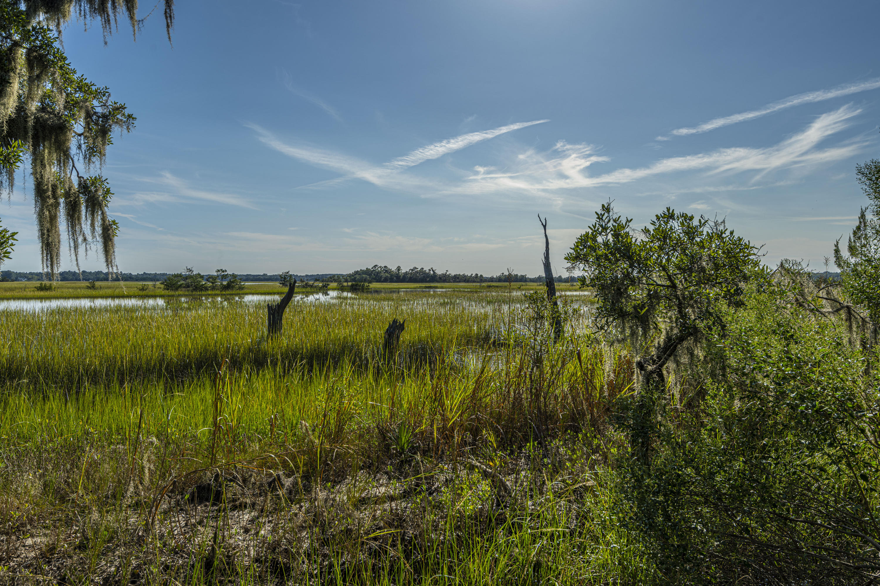 2133 Rookery Lane Charleston, SC 29414 - Photo 64 of 71 DSC_8982